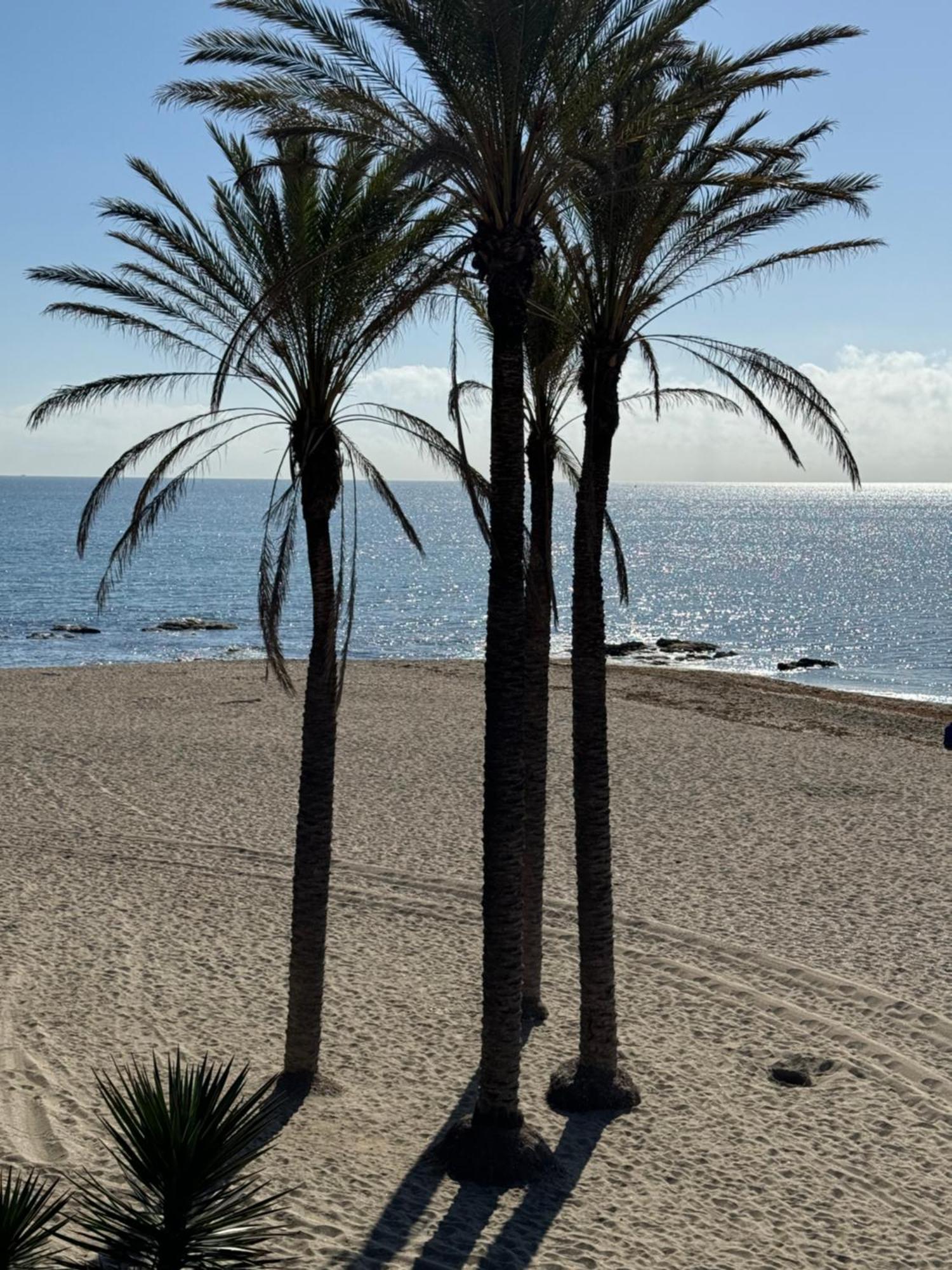 Brand New Studio Benalmádena Εξωτερικό φωτογραφία